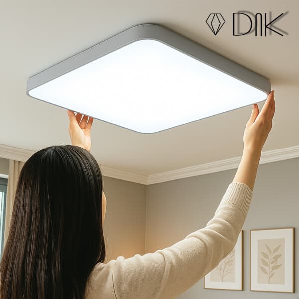 디앤케이(DnK) 5분설치 국산 LED 방등 60W 플리커프리 - 최저가 22,000원