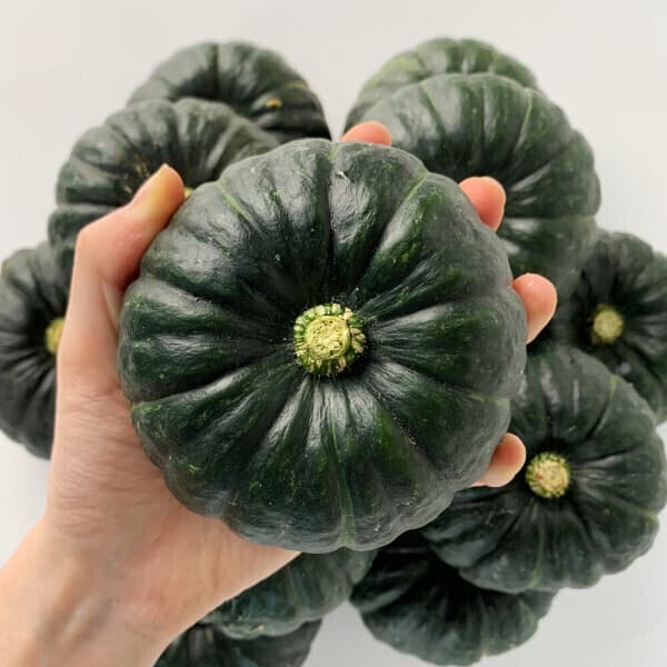 신선푸드마켓 제주 미니단호박 밤호박 10kg 실중량 9kg