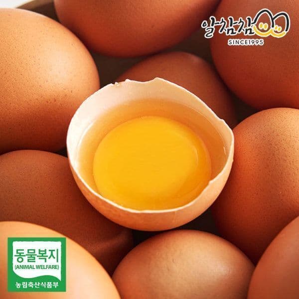알참참 알참참 무항생제 계란 오메가-3 동물복지 유정란 60구 - 최저가 26,400원
