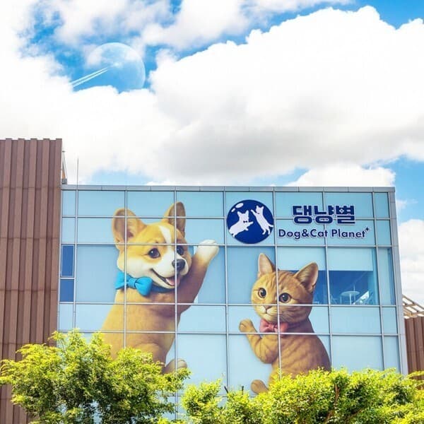 제주투어패스 제주 댕냥별 입장권