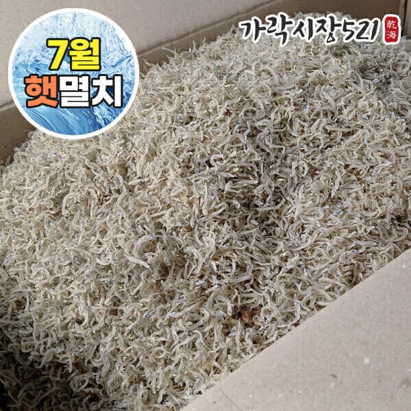 가락시장521 26년 햇멸치 골라담기 1.5kg
