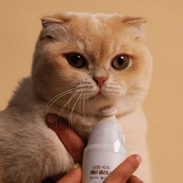 핏펫 냥쌤 고양이 턱드름 관리 깨비 클리너 30ml - 최저가 23,000원