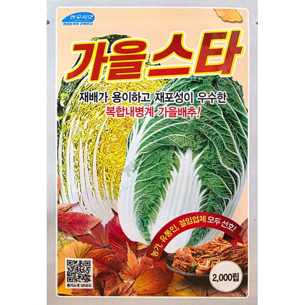 제일농약사 농우 가을스타배추씨앗 2000립