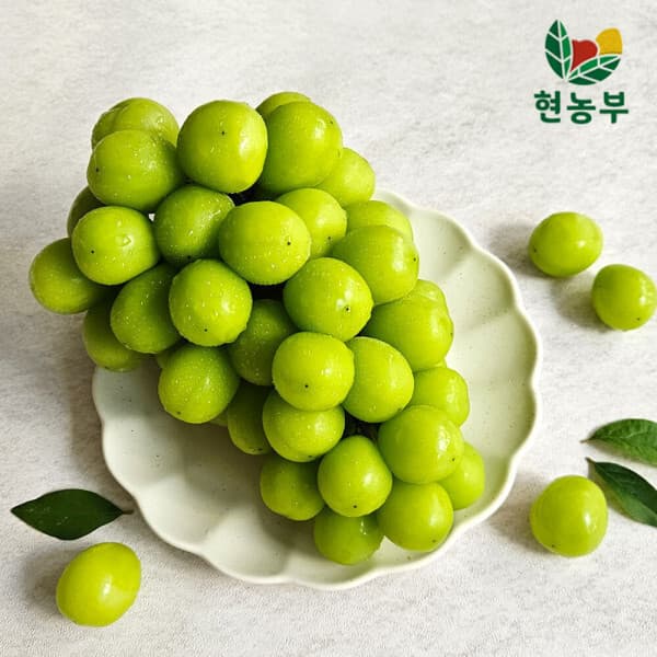 현농부 고당도 샤인머스켓 1kg