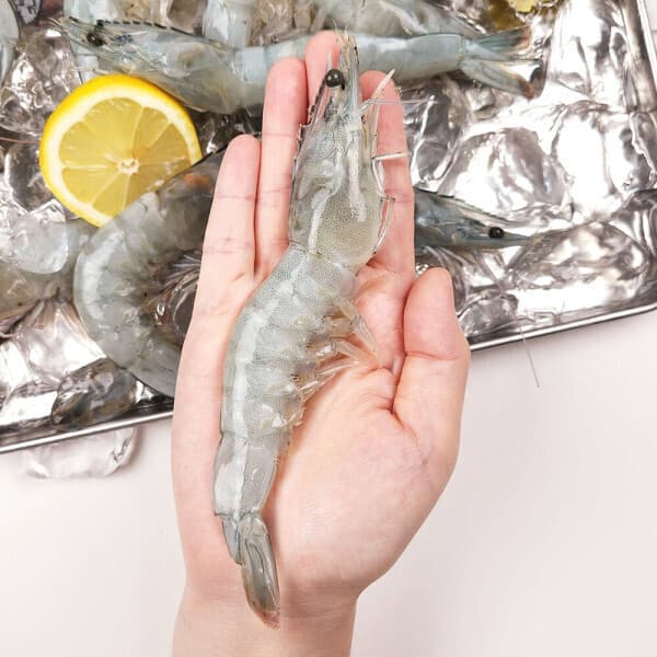 현해랑 국내산 흰다리새우 1kg 40미 내외 - 최저가 34,900원