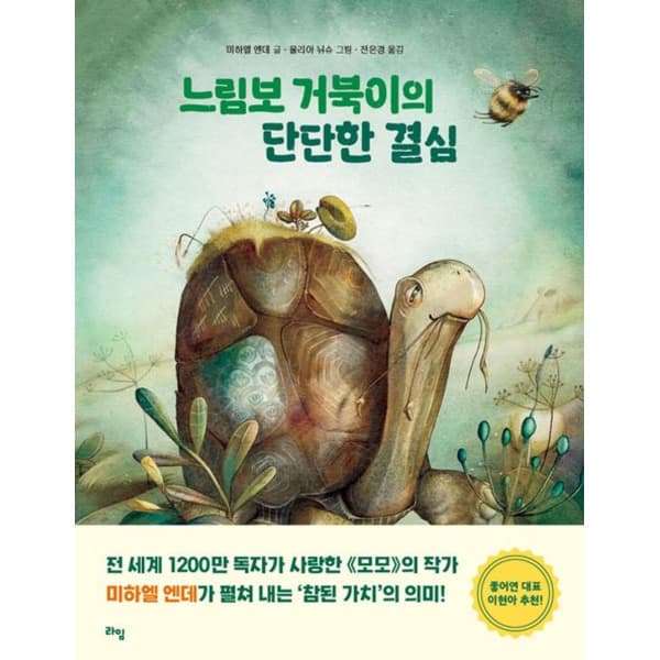 인터넷 영풍문고 느림보 거북이의 단단한 결심