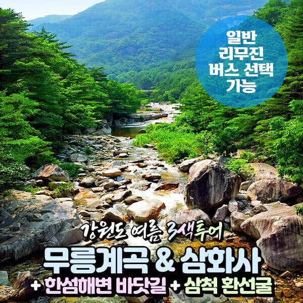 파랑새투어 강원도 여름 3색투어(무릉계곡+한섬해변 바닷길+환선굴) 당일여행 (일반/리무진버스)