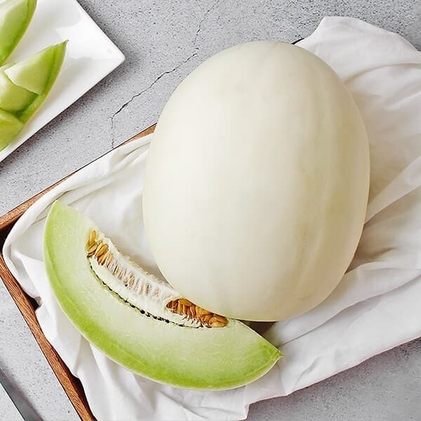 W쇼핑TV홈쇼핑 허니듀 멜론 2수 개당 1.8kg - 최저가 21,900원