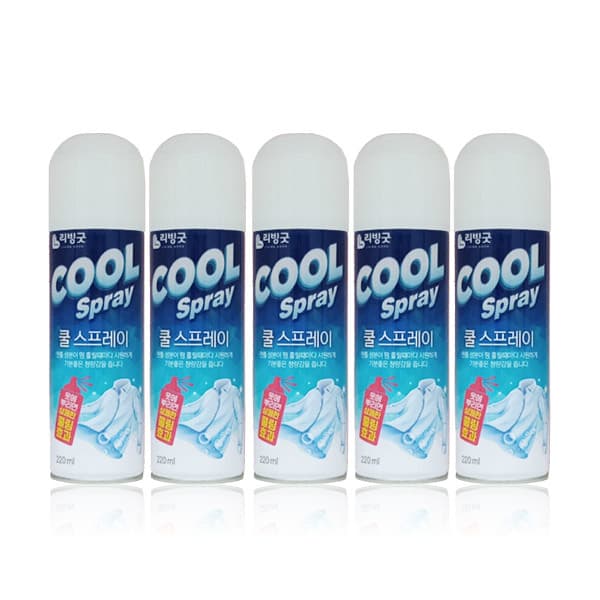 PAMGPAMG 쿨 스프레이 아이스쿨링 220ml X 5개 - 최저가 13,900원