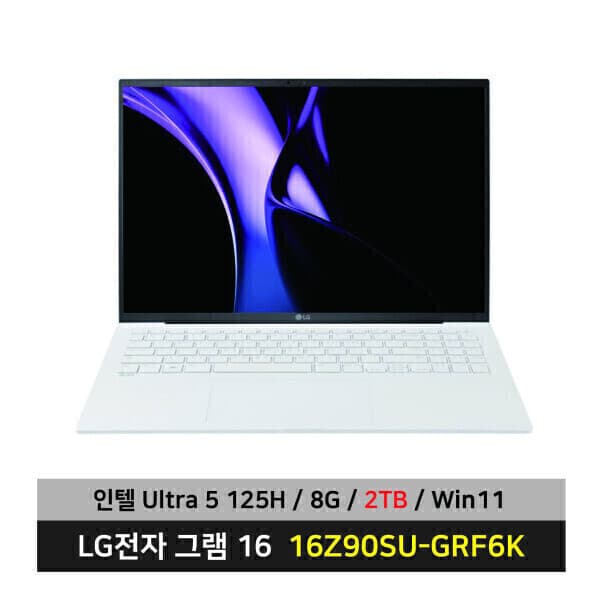 디아몰주식회사 LG전자 그램 16 노트북 16Z90SU-GRF6K Ultra5 SSD 2TB 무선마우스 패드