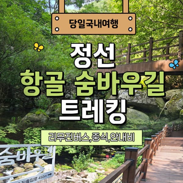 (주)여행자클럽 리무진버스 정선 항골 숨바우길 계곡트래킹 당일여행 곤드레더덕정식