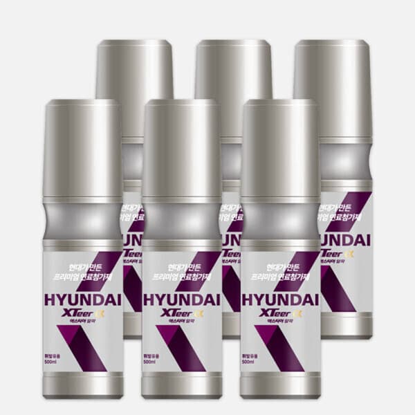 현대엑스티어공식몰 현대엑스티어 알파 연료첨가제 6개입 가솔린 500ml - 최저가 58,800원