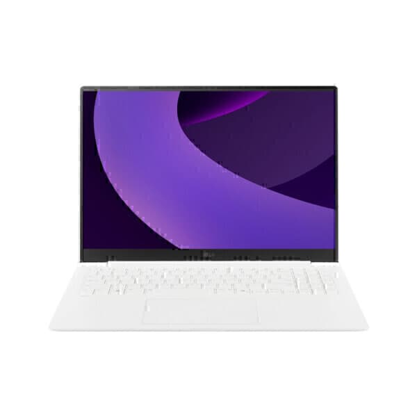 바이나우1 16Z90TS-GS5CK SSD 512GB 교체장착