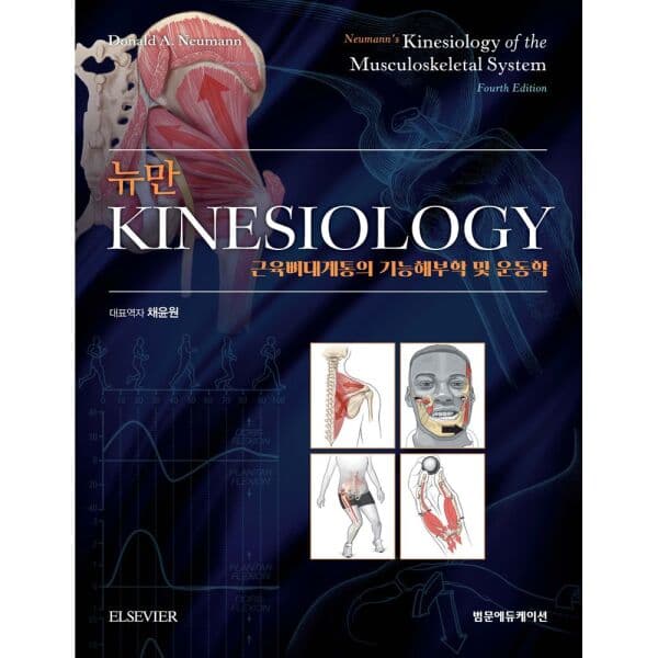 인터넷교보문고 뉴만 kinesiology 근육뼈대계통의 기능해부학 및 운동학