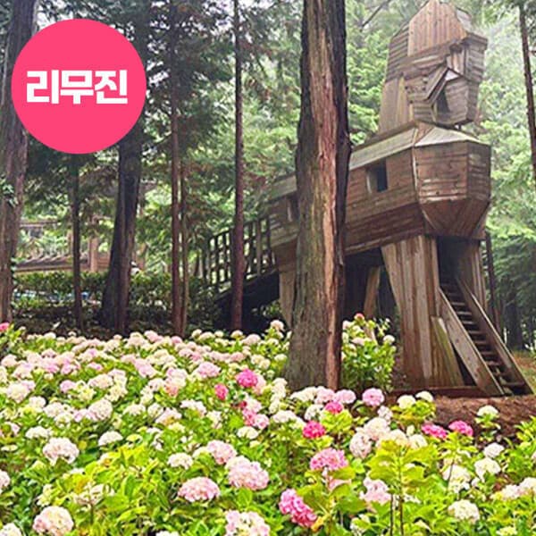 로망스투어 영광강진장흥 정남진편백숲 가우도출렁다리 영광불갑사 강진만생태공원 1박2일 투어