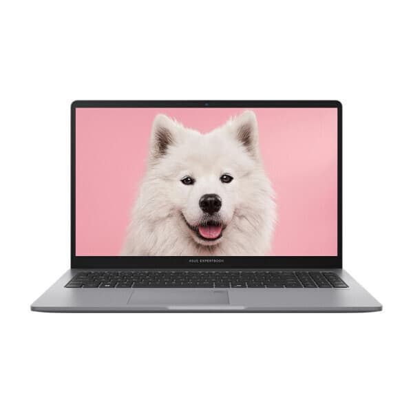 씨와이씨노트북전문점 ASUS ExpertBook P1 PM1503CDA-S70068 램16GB NVMe512GB 노트북 - 최저가 816,020원