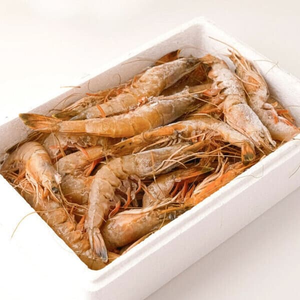 대천해 국내산 서해안 자연산대하 1kg