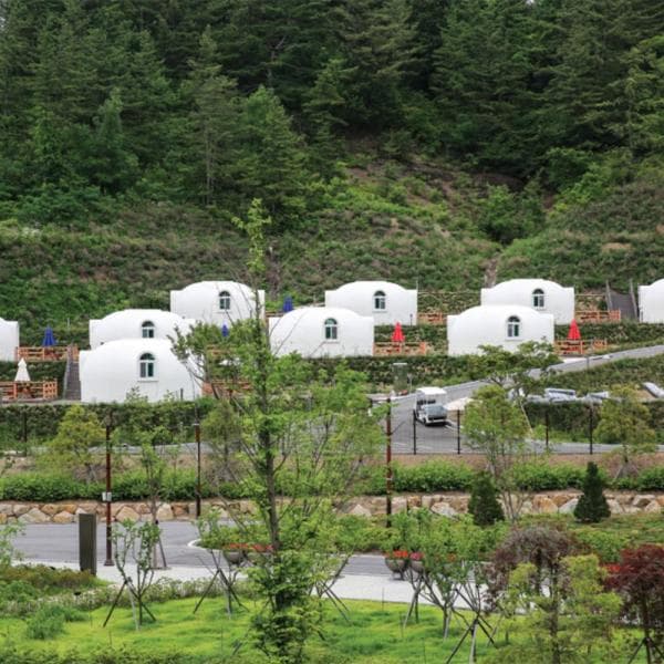 (주)놀유니버스 대구 펜션 군위 삼국유사테마파크 역사돔 - 최저가 102,000원