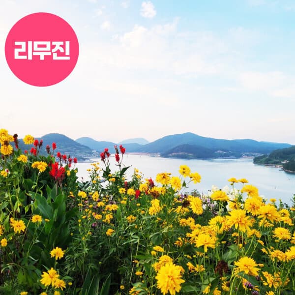 로망스투어 고흥 애도쑥섬 꽃+연홍도+소록도+녹동야경+윤제림 고흥보성 1박2일