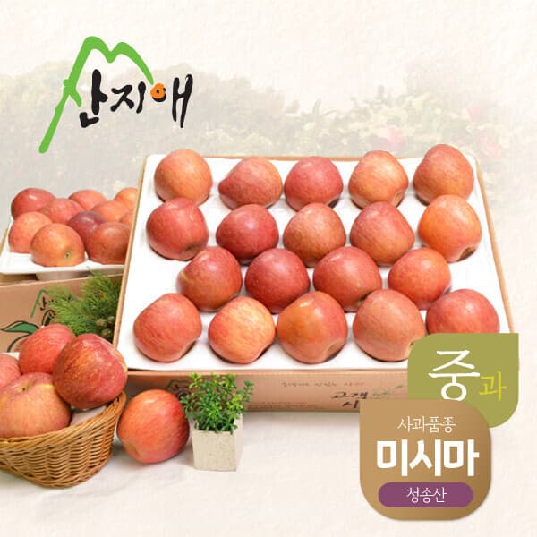 산지애몰 산지애 못난이사과 중과 4kg 2box 청송산 - 최저가 69,900원