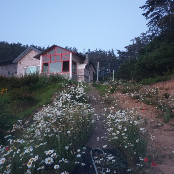 (주)놀유니버스 태안 피구지관광농원