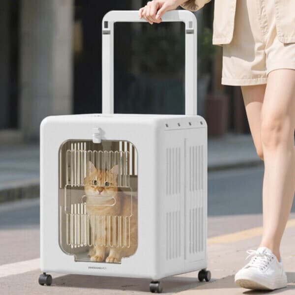 딩동펫 딩동펫 반려동물 프론티어 접이식 빅에어 이동 캐리어