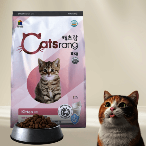 멍냥즈몰 캐츠랑 키튼 어린 고양이 사료 8kg - 최저가 32,000원