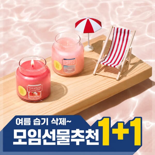 양키캔들공식스토어 양키캔들 BEST 탈취전용 자캔들S