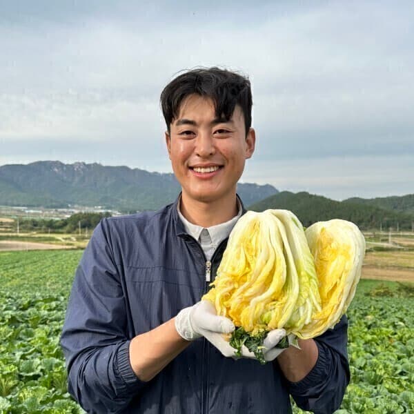 해가온영농조합 해남 절임배추 20kg - 최저가 41,310원