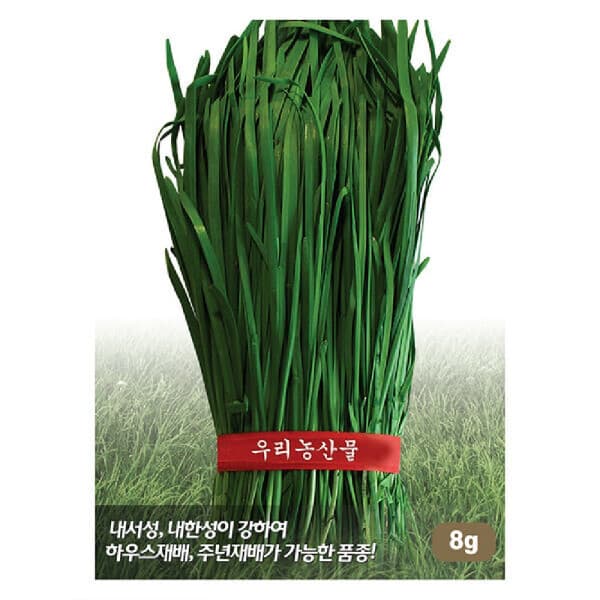 원진종묘 부추씨앗 1kg 그린벨트