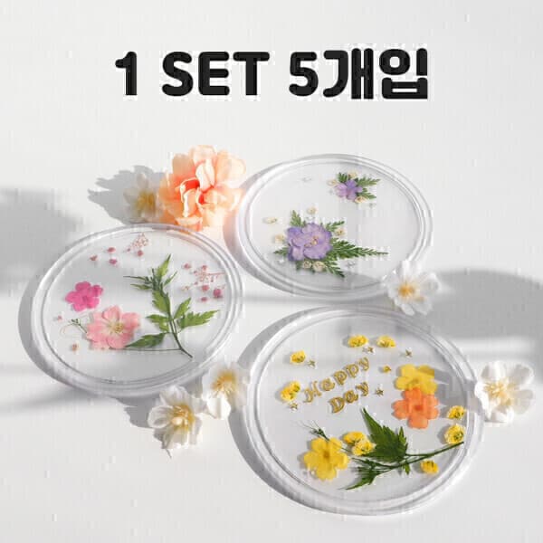 오늘의오브제 (5개입) 압화 티코스터 만들기 세트 누름 꽃 컵받침