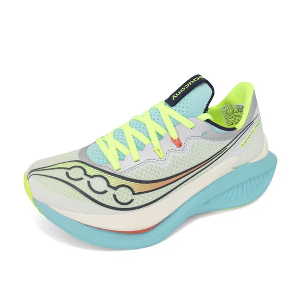 DLC샵 써코니 엔돌핀 프로 5 카본화 레이싱화 WHITE SPLASH S11064-120 - 최저가 191,900원