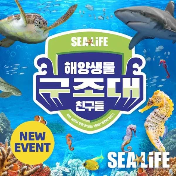 힐팩3 삼성 씨라이프 코엑스아쿠아리움 VR 패키지