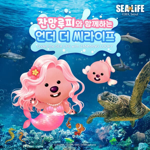 힐팩3 삼성 씨라이프 코엑스아쿠아리움 포토패키지 2인권 - 최저가 34,500원