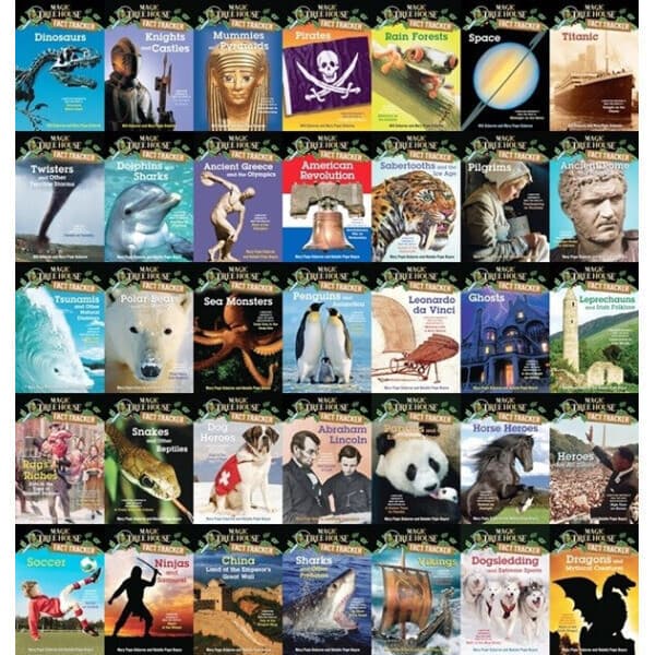 LanguageWorld MTH FACT TRACKER 1-44 Set PB