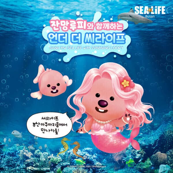 놀유니버스 부산 아쿠아리움 당일입장권