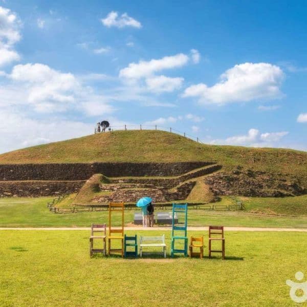 (주)테마캠프 연천 당일여행 패키지 (베개용암출렁다리, 문화벽돌공장, 동이리주상절리, 호로고루) - 최저가 19,000원