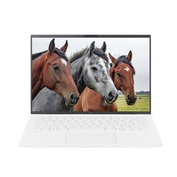 주식회사테크조이 LG 그램14 14ZD90T-GX56K 1TB SSD