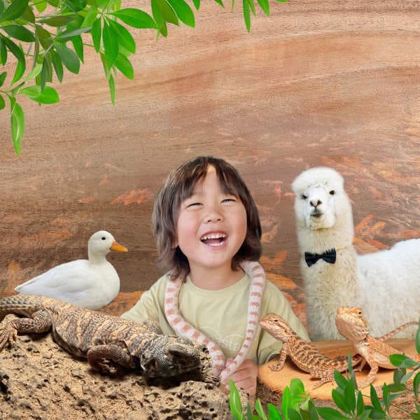 엘에스 컴퍼니 용인 리프플레이스