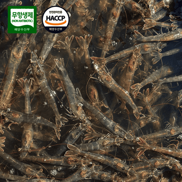 프리파머 국내산 무항생제 친환경 왕새우 1kg