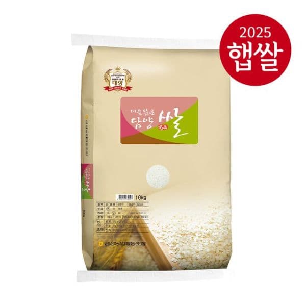 NS몰 25년 햅쌀 담양농협 대숲맑은담양쌀 10kg 특등급