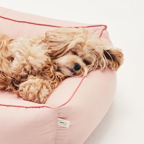 레드라보 아르르 꿀잠방석 V2 강아지 고양이 방석 - 최저가 38,400원