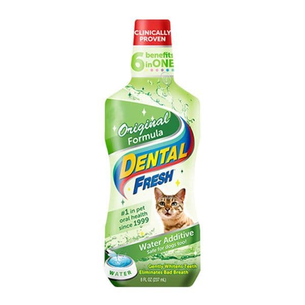 뉴멍도리 시너지랩 캣 덴탈후레쉬 오리지날 237ml