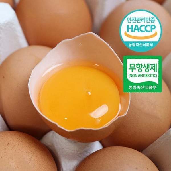 신세계몰 (농부들의수확)난각번호 1번 자연방사 계란 무항생제 유정란 대란 60구(20구x3판)