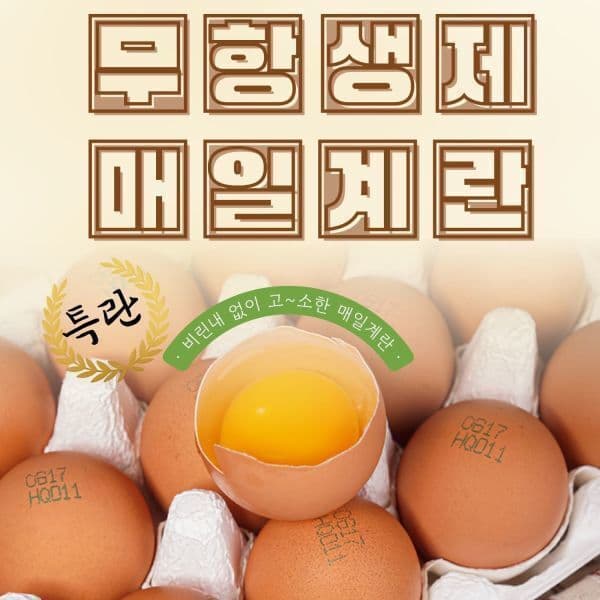 가나안축산 매일농장 친환경 무항생제 계란 특란 30구