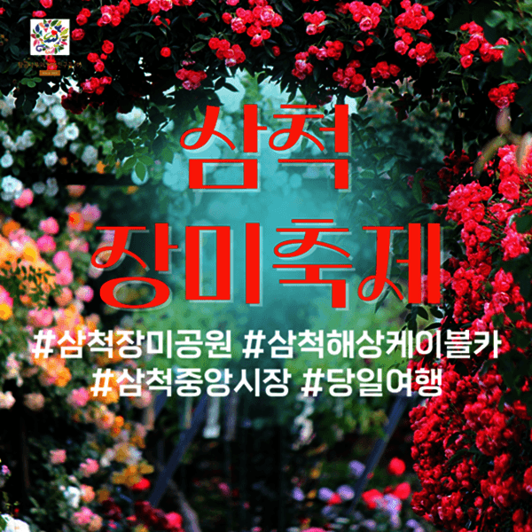 황금나무와여행친구들 당일여행 삼척 장미꽃 축제 황금나무와여행친구들