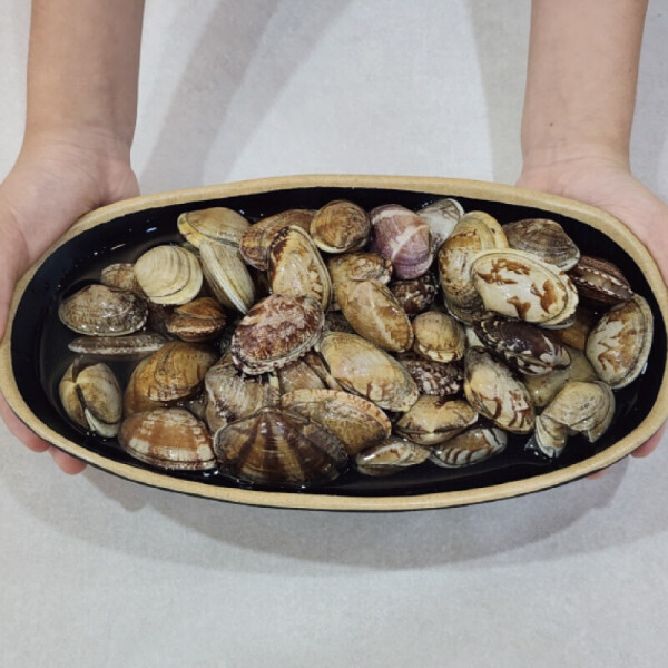 훈씨네 국내산 남해안 활 바지락 왕바지락 3kg