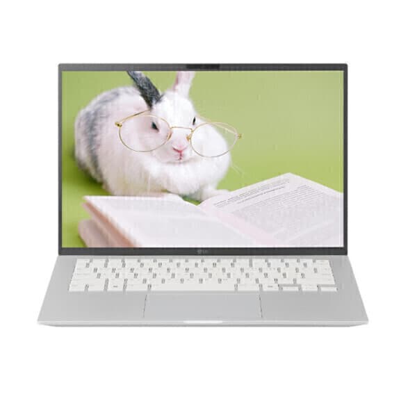 주식회사테크조이 LG전자 그램14 14ZD95U-GX59K SSD 512GB