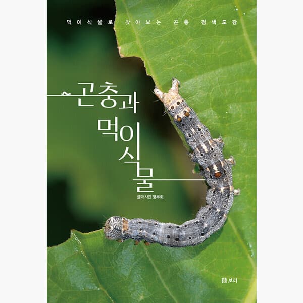 인터넷서점알라딘 곤충과 먹이식물 : 먹이식물로 찾아보는 곤충 검색도감 - 최저가 63,000원