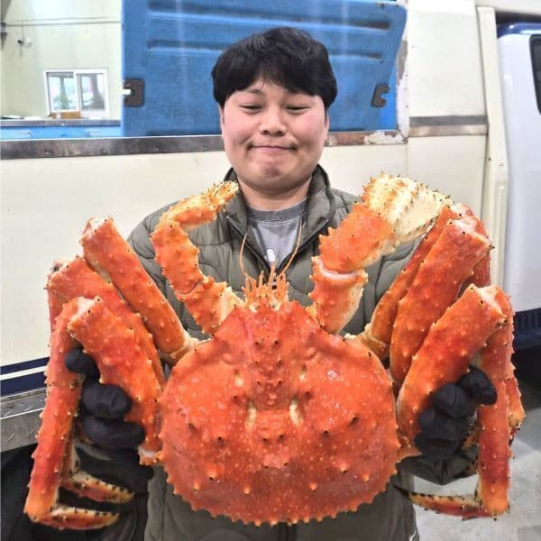 독점마켓. 러시아 킹크랩 3kg (레드킹크랩, 블루킹크랩, 브라운킹크랩) - 최저가 75,900원